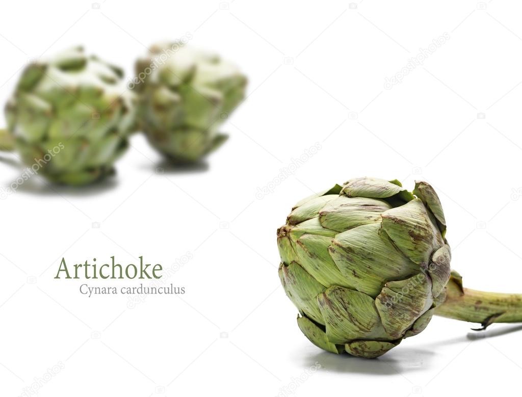 ripe artichokes  isolated on white background