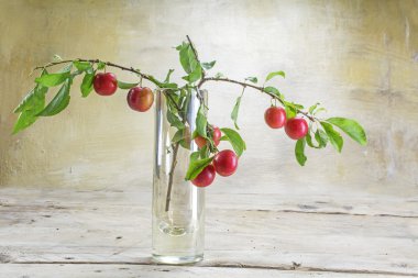 Rustik ahşap bir masa üzerinde bir vazoda kırmızı yabani Erik ile şube