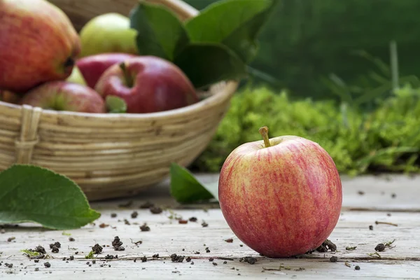 Bio-Apfel und ein verschwommener Korb mit Äpfeln auf einem Holzdeck — Stockfoto