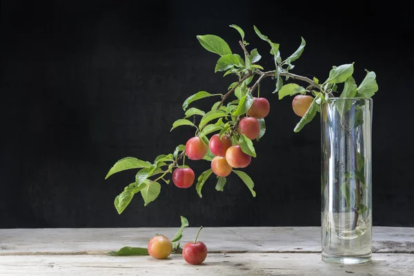Branche avec prunes sauvages rouges dans un vase en verre sur une ta en bois rustique — Photo
