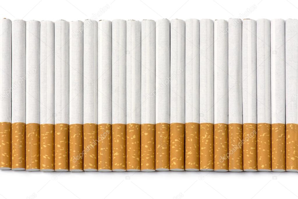 row of filter cigarettes isolated on white background