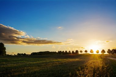 Günbatımı bir pastoral ülkenin peyzaj alanları ve ağaçlar üzerinde