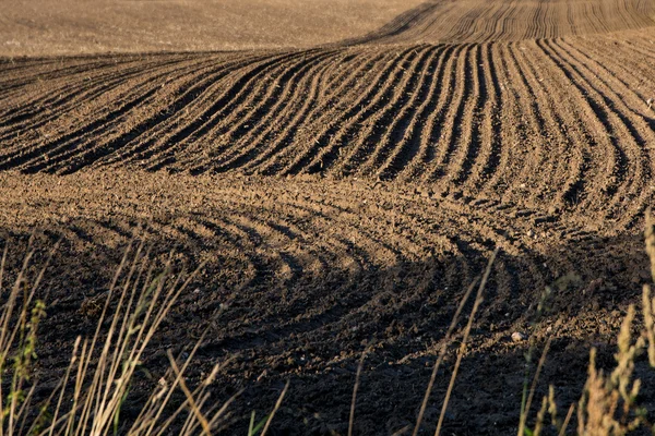 Omgeploegde veld met donkere aarde en gebogen tracks — Stockfoto