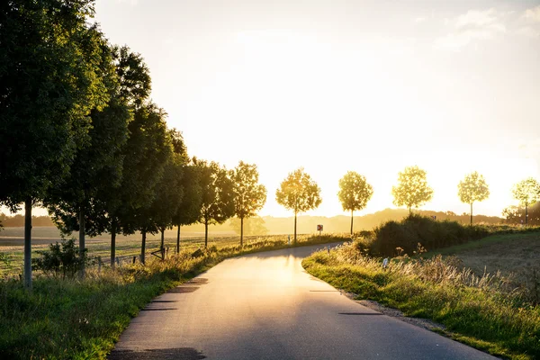 Sonbahar günbatımı ışık, kavramı lider ülke road — Stok fotoğraf