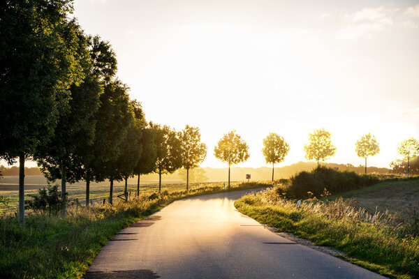 country road  leading to the autumnal sunset light, concept of