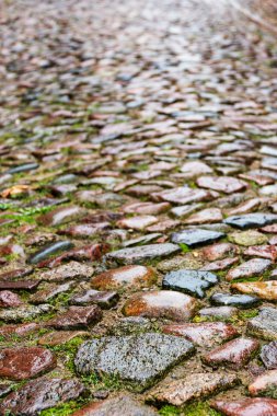 Bir ortaçağ sokak, dikey arka plan textu üzerinde ıslak cobblestones