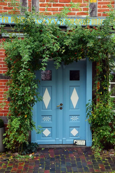 Porta d'ingresso blu in una casa storica con piante rampicanti al — Foto Stock