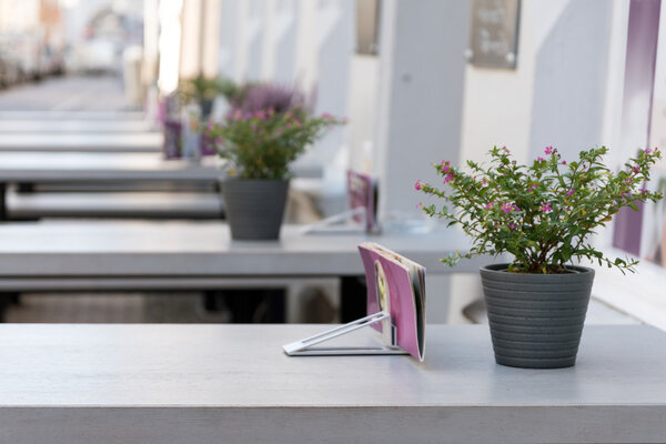 outdoor restaurant with gray tables and pink purple flower decor