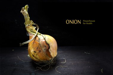 golden onion from the organic vegetable garden on dark wood clipart