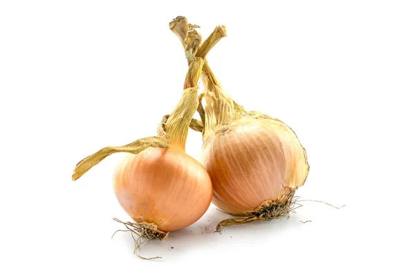 Cebollas del jardín aislado en blanco — Foto de Stock