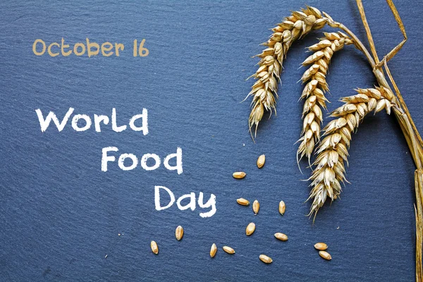 Всемирный день продовольствия, 16 октября, доска с хлопьями и текстом — стоковое фото