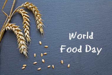 World Food Day, October 16, chalkboard with cereal and text clipart