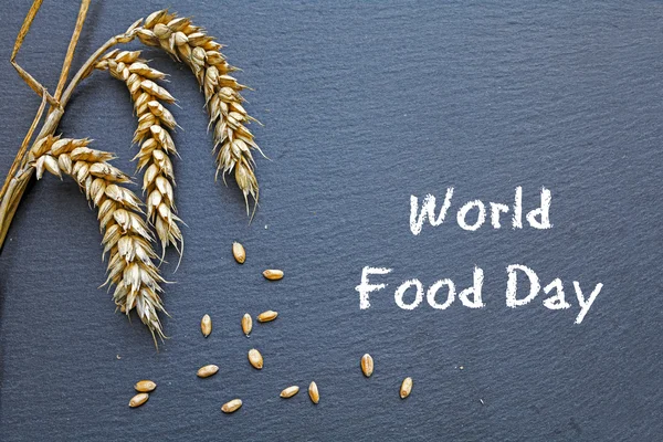 世界粮食日，10 月 16 日，黑板谷物和文本 — 图库照片