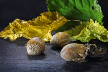 Fındık ve sonbahar yaprakları koyu renkli ahşap bir arka plan üzerinde