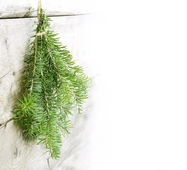 Fir branches hanging on a light wooden wall, Christmas decoratio — Stock Photo, Image