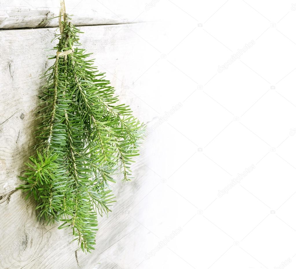 fir branches hanging on a light wooden wall, Christmas decoratio