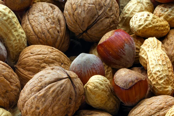 Змішані горіхи з лісовим горіхом, арахісом і горіхом, крупним планом — стокове фото
