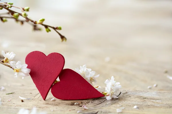 Duas formas de coração vermelho com ramos florescendo no woo rústico brilhante — Fotografia de Stock