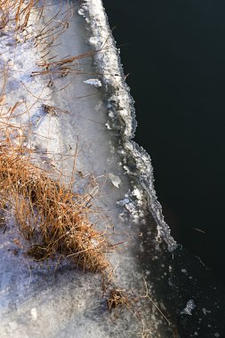Kenar Riverside'da kuru reed ile kışın buz, abo görüntülemek