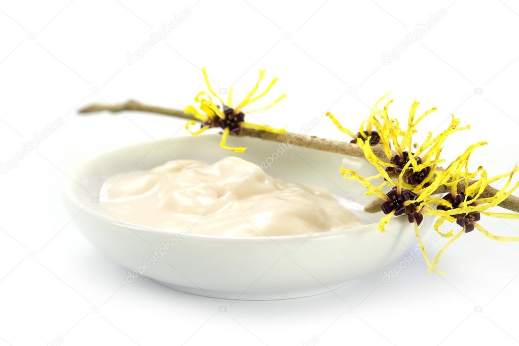 Homemade ointment in a white bowl and witch hazel flowers (Hamam