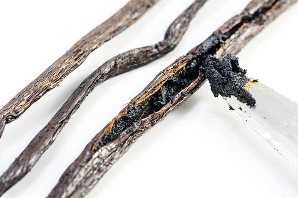 Preparing vanilla, knife tip scraping the mark with seeds from a — Stock Photo, Image