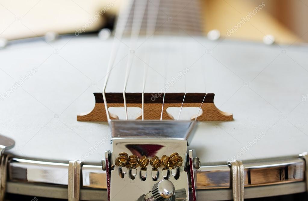Detail of a metallic banjo 6 strings as music background