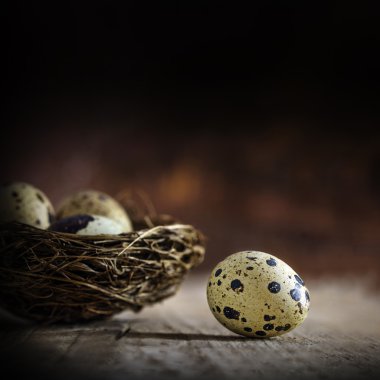 bir yumurta yuvadan rustik ahşap, koyu arka plan alır