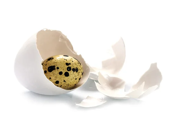 Oeuf de caille dans une coquille d'oeuf de poulet isolé sur une conque blanche de Pâques — Photo