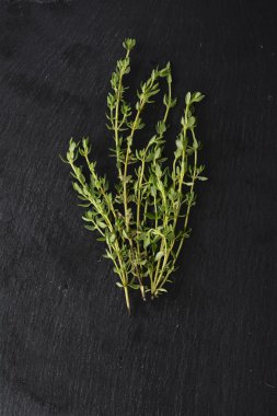 fresh green thyme, Thymus vulgaris, on dark slate