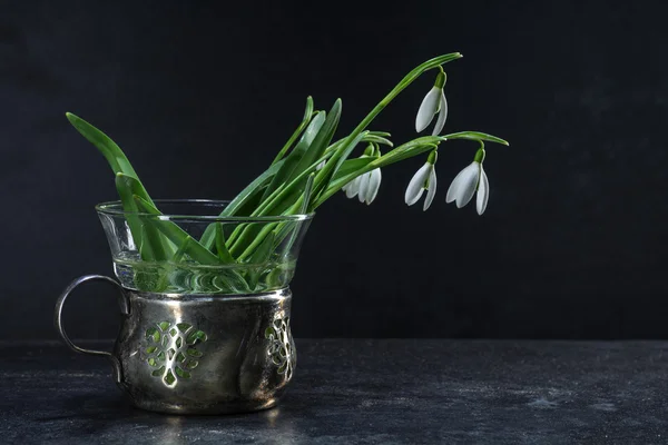 Flores de gota de nieve en un jarrón vintage de plata y vidrio contra —  Fotos de Stock