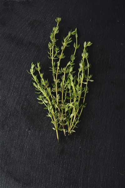 fresh green thyme, Thymus vulgaris, on dark slate