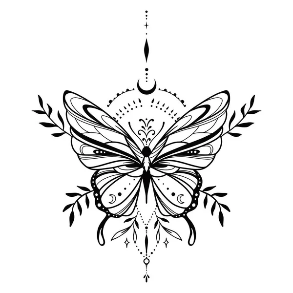 Mariposa Magica Dibujado Manoストックベクター ロイヤリティフリーmariposa Magica Dibujado Mano イラスト ページ 7 Depositphotos