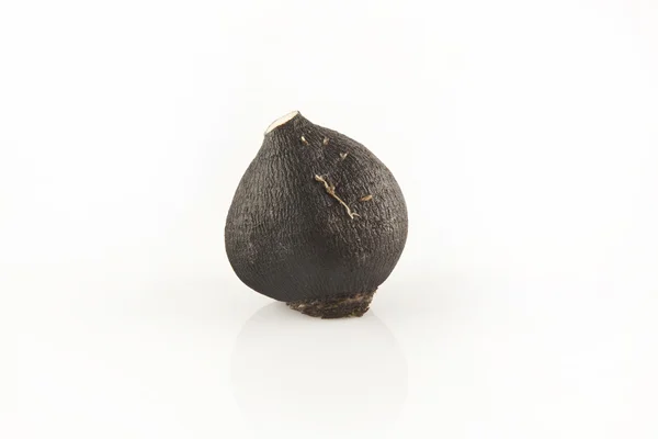 Black Radish Isolated — Stock Photo, Image