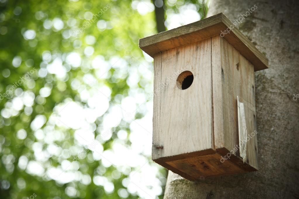 Bird house hanging from the tree with the entrance hole in the shape of a circle.