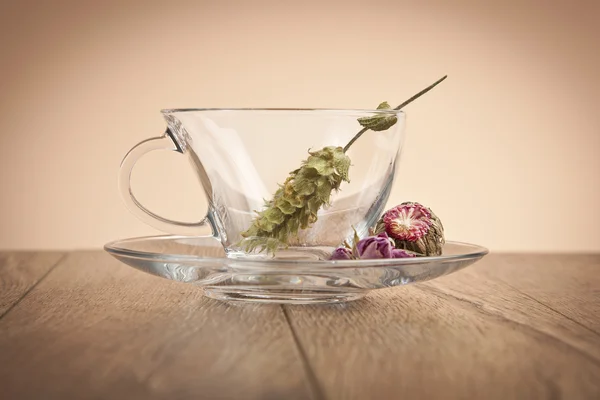 Стеклянная чашка со свежим чаем — стоковое фото
