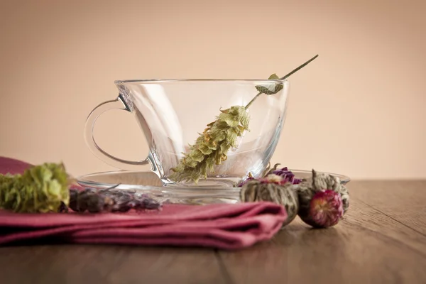 Ceașcă de sticlă cu ceai proaspăt — Fotografie, imagine de stoc