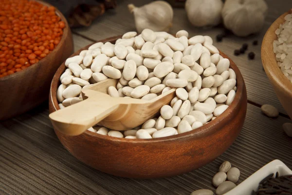 Conceito de sementes de feijão — Fotografia de Stock