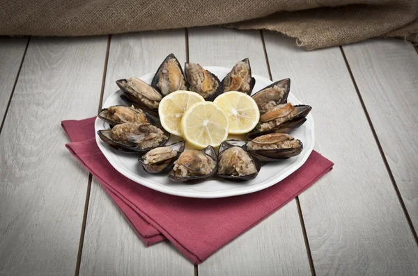 Gevulde mosselen, midye dolma mediterrane keuken — Stockfoto