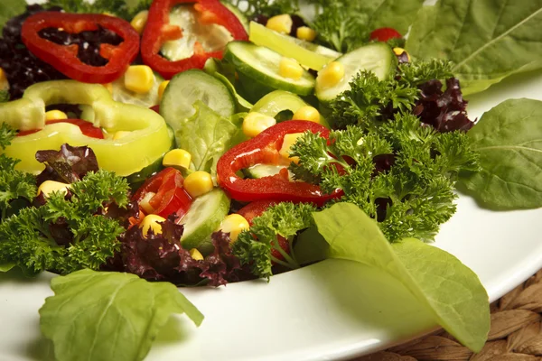 Tigela de salada mista — Fotografia de Stock