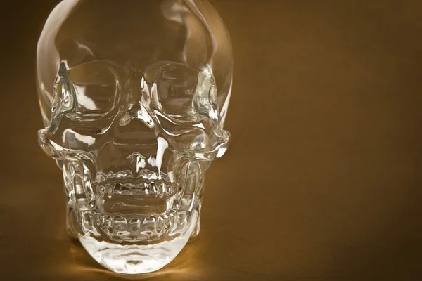 Crystal Skull - na złotym tle — Zdjęcie stockowe