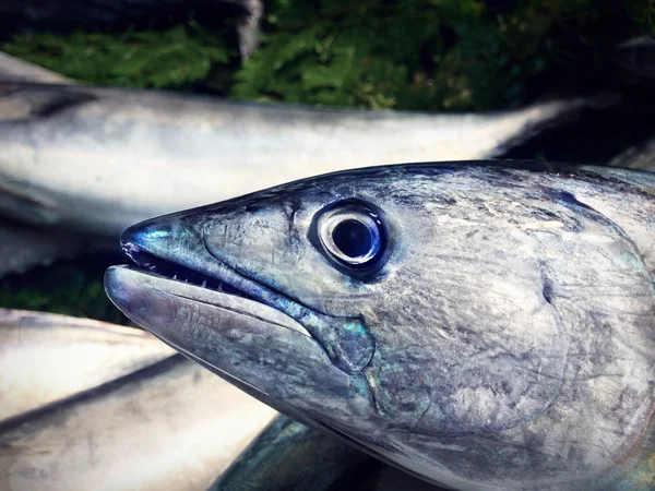 Färsk fisk på is på marknaden — Stockfoto