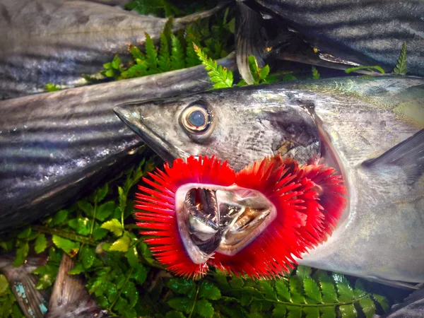 市場に出回っている新鮮な魚は — ストック写真