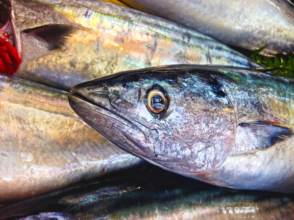 Färsk fisk på is på marknaden — Stockfoto