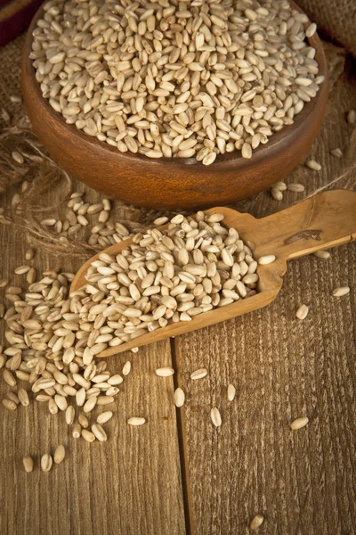 Semi di grano in piastra di legno e cucchiaio di legno con sfondo in legno — Foto Stock