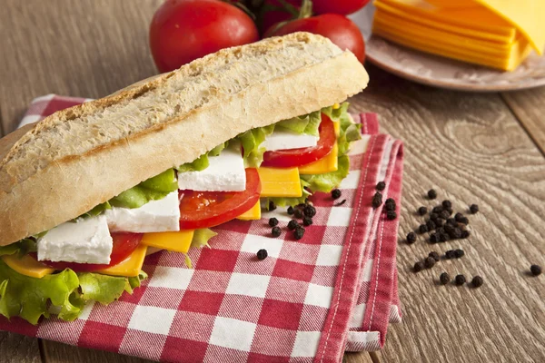 Ander soort broodje kaas en tomaten met concept achtergrond — Stockfoto