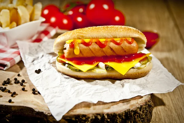 Hot Dog con patatine fritte e formaggio cheddar concetto di sfondo — Foto Stock