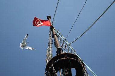 Tunus bayrağı ve bir martı