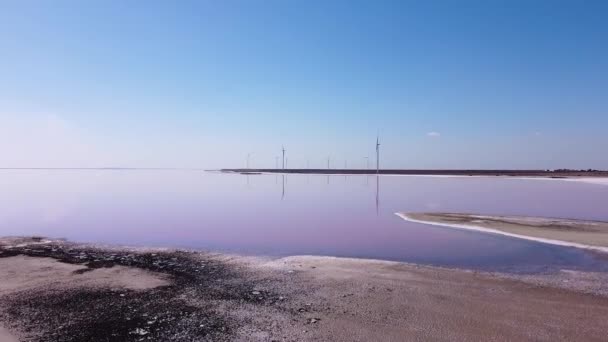 Rosafarbene Seeküste Mit Blauem Himmel Und Windrädern Hintergrund — Stockvideo