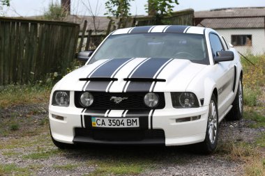 Mustang Gt/Cs kırsal alanda