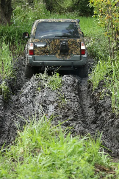 Atrapado en el pantano — Foto de Stock